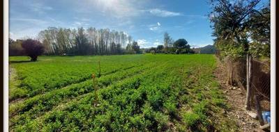 Terrain seul à Momères en Hautes-Pyrénées (65) de 2165 m² à vendre au prix de 108000€ - 2