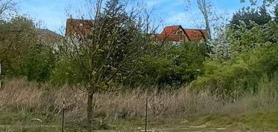 Terrain seul à Cusset en Allier (03) de 600 m² à vendre au prix de 60500€ - 2