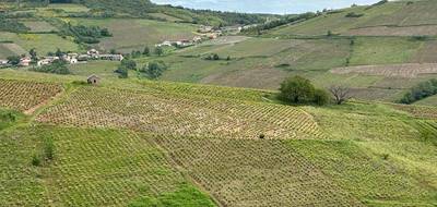 Terrain seul à Juliénas en Rhône (69) de 13900 m² à vendre au prix de 44000€ - 2