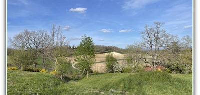Terrain seul à Montgey en Tarn (81) de 6102 m² à vendre au prix de 78000€ - 2