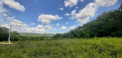 Terrain seul à Céreste en Alpes-de-Haute-Provence (04) de 800 m² à vendre au prix de 77500€ - 4