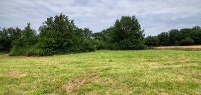 Terrain seul à Mons en Haute-Garonne (31) de 7103 m² à vendre au prix de 154000€ - 4