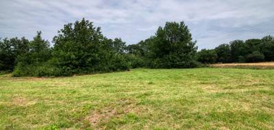 Terrain seul à Mons en Haute-Garonne (31) de 7103 m² à vendre au prix de 164000€ - 4