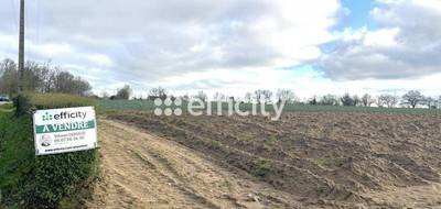 Terrain seul à Le Cellier en Loire-Atlantique (44) de 50000 m² à vendre au prix de 385000€ - 1