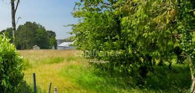 Terrain seul à Monteneuf en Morbihan (56) de 3420 m² à vendre au prix de 82000€ - 1