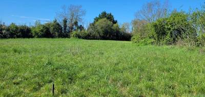 Terrain seul à Castelnau Montratier-Sainte Alauzie en Lot (46) de 1000 m² à vendre au prix de 25500€ - 3
