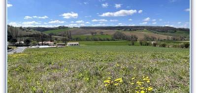 Terrain seul à Algans en Tarn (81) de 1700 m² à vendre au prix de 110800€ - 2