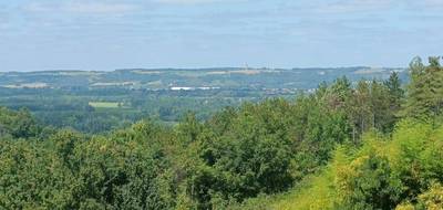 Terrain seul à Auvillar en Tarn-et-Garonne (82) de 2528 m² à vendre au prix de 53000€ - 4