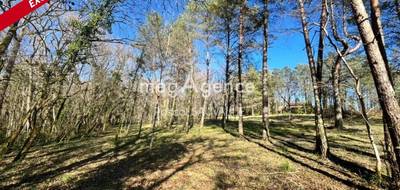 Terrain seul à Bergerac en Dordogne (24) de 10200 m² à vendre au prix de 82500€ - 2