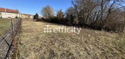 Terrain seul à Laix en Meurthe-et-Moselle (54) de 9900 m² à vendre au prix de 160000€ - 4