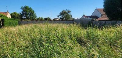 Terrain seul à Chalain-le-Comtal en Loire (42) de 600 m² à vendre au prix de 81000€ - 2