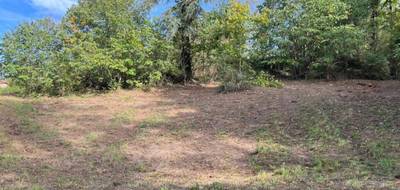 Terrain seul à Saint-Martin-la-Plaine en Loire (42) de 2320 m² à vendre au prix de 149000€ - 3
