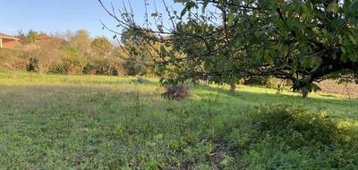 Terrain seul à Belpech en Aude (11) de 3174 m² à vendre au prix de 49990€ - 3