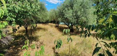 Terrain seul à Montignargues en Gard (30) de 2355 m² à vendre au prix de 316500€ - 2