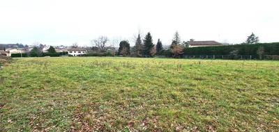Terrain seul à Poncins en Loire (42) de 1650 m² à vendre au prix de 79000€ - 1