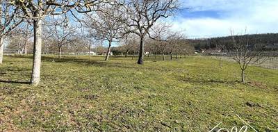 Terrain seul à Sergeac en Dordogne (24) de 4264 m² à vendre au prix de 85280€ - 1