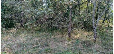 Terrain seul à Saint-Pierre-de-Côle en Dordogne (24) de 1700 m² à vendre au prix de 26000€ - 3