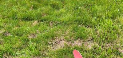 Terrain seul à Bobital en Côtes-d'Armor (22) de 743 m² à vendre au prix de 85200€ - 4