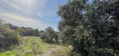 Terrain seul à Éguilles en Bouches-du-Rhône (13) de 1500 m² à vendre au prix de 550000€ - 4
