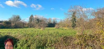 Terrain seul à Viels-Maisons en Aisne (02) de 4338 m² à vendre au prix de 257000€ - 2