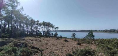 Terrain seul à Vannes en Morbihan (56) de 346 m² à vendre au prix de 295000€ - 2