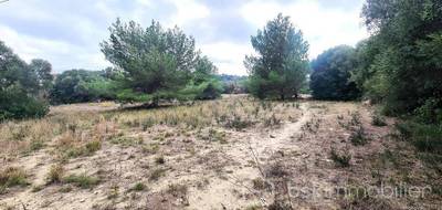 Terrain seul à La Palme en Aude (11) de 1220 m² à vendre au prix de 315000€ - 1