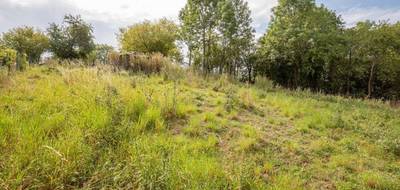 Terrain seul à Grosrouvres en Meurthe-et-Moselle (54) de 1193 m² à vendre au prix de 36000€ - 4