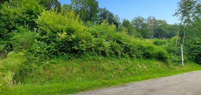 Terrain seul à Fellering en Haut-Rhin (68) de 3489 m² à vendre au prix de 140000€ - 2