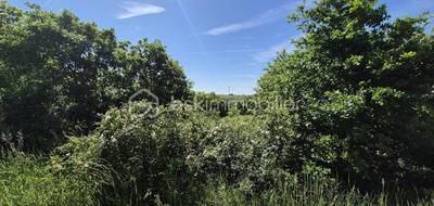 Terrain seul à Auvillar en Tarn-et-Garonne (82) de 26139 m² à vendre au prix de 16000€ - 2