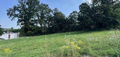 Terrain seul à Saint-Sernin-du-Bois en Saône-et-Loire (71) de 768 m² à vendre au prix de 49044€ - 1