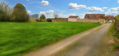 Terrain seul à Trinay en Loiret (45) de 927 m² à vendre au prix de 40000€ - 2