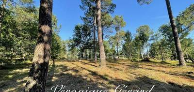 Terrain seul à Saint-Martin-de-Gurson en Dordogne (24) de 15651 m² à vendre au prix de 19000€ - 3