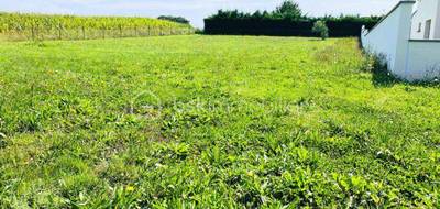 Terrain seul à Ploërmel en Morbihan (56) de 1258 m² à vendre au prix de 50000€ - 1