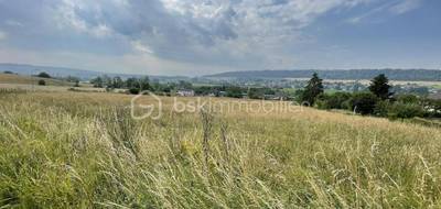 Terrain seul à Nouvion-sur-Meuse en Ardennes (08) de 2900 m² à vendre au prix de 55000€ - 4