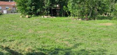 Terrain seul à Druillat en Ain (01) de 880 m² à vendre au prix de 83000€ - 1