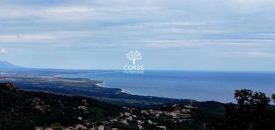 Terrain seul à Sari-Solenzara en Corse-du-Sud (2A) de 2600 m² à vendre au prix de 405000€ - 1