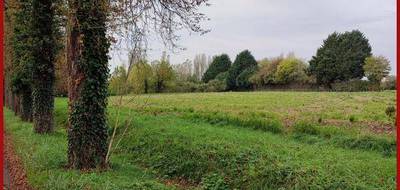 Terrain seul à Nogent-le-Bernard en Sarthe (72) de 8405 m² à vendre au prix de 59800€ - 2