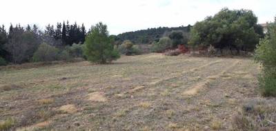 Terrain seul à Mailhac en Aude (11) de 1400 m² à vendre au prix de 128000€ - 3