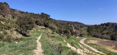Terrain seul à Ruoms en Ardèche (07) de 4400 m² à vendre au prix de 85000€ - 4