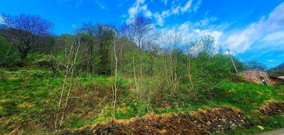 Terrain seul à Linthal en Haut-Rhin (68) de 1050 m² à vendre au prix de 80000€ - 2