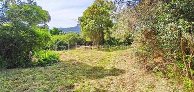 Terrain seul à Cuttoli-Corticchiato en Corse-du-Sud (2A) de 2862 m² à vendre au prix de 230000€ - 4