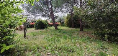 Terrain seul à Roujan en Hérault (34) de 728 m² à vendre au prix de 131000€ - 2