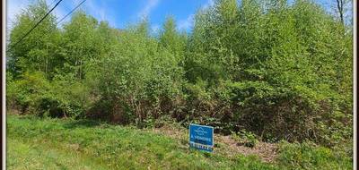 Terrain seul à Ervauville en Loiret (45) de 3921 m² à vendre au prix de 38500€ - 4