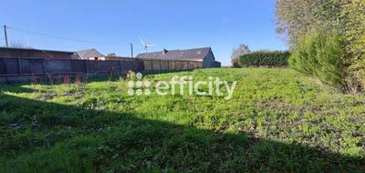 Terrain seul à Torigny-les-Villes en Manche (50) de 1200 m² à vendre au prix de 22000€ - 3