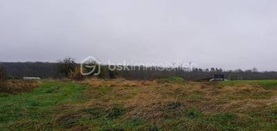 Terrain seul à La Ferrière en Indre-et-Loire (37) de 2600 m² à vendre au prix de 64900€ - 2