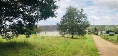 Terrain seul à Jouet-sur-l'Aubois en Cher (18) de 1800 m² à vendre au prix de 21000€ - 1