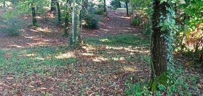 Terrain seul à Les Mathes en Charente-Maritime (17) de 857 m² à vendre au prix de 200000€ - 1