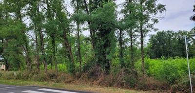 Terrain seul à Saint-Denis-de-Pile en Gironde (33) de 1200 m² à vendre au prix de 66000€ - 2