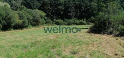 Terrain seul à Montluçon en Allier (03) de 4786 m² à vendre au prix de 48000€ - 1