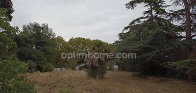 Terrain seul à Montaigut-sur-Save en Haute-Garonne (31) de 600 m² à vendre au prix de 124900€ - 1